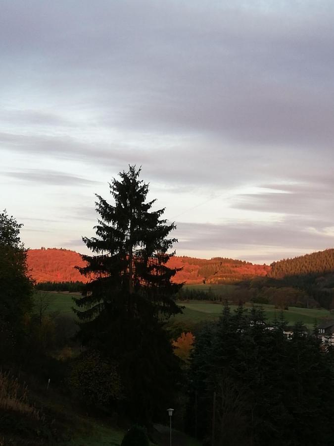 Ferienwohnung-In-Schoenster-Lage Baar  Экстерьер фото