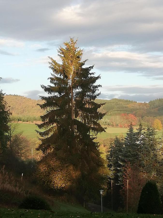 Ferienwohnung-In-Schoenster-Lage Baar  Экстерьер фото