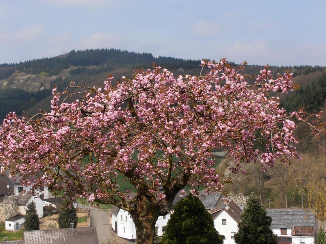 Ferienwohnung-In-Schoenster-Lage Baar  Экстерьер фото